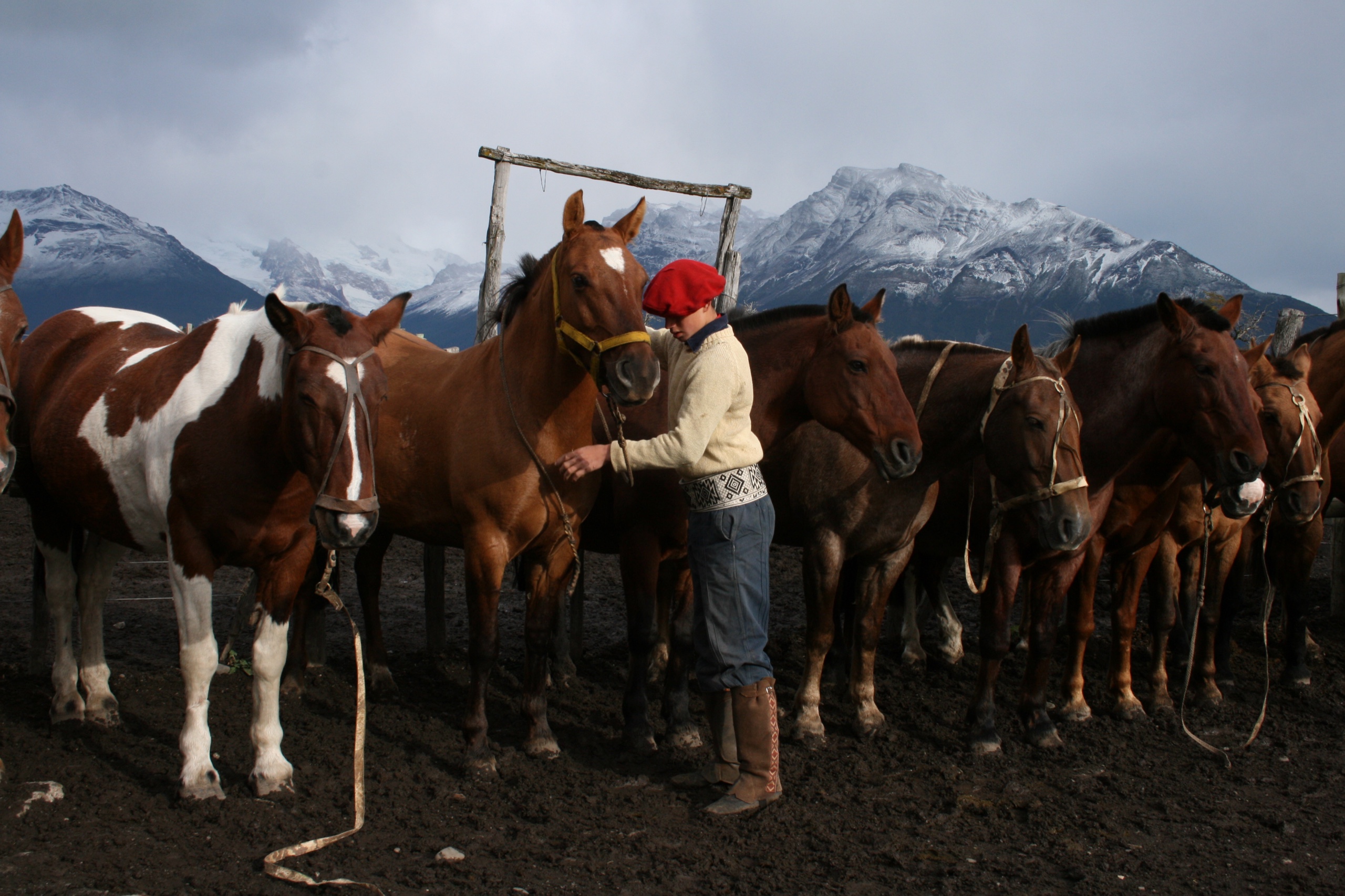 Actividades Patagonia